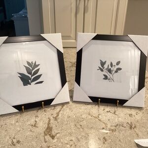 NEW Set of (2) Botanical Prints